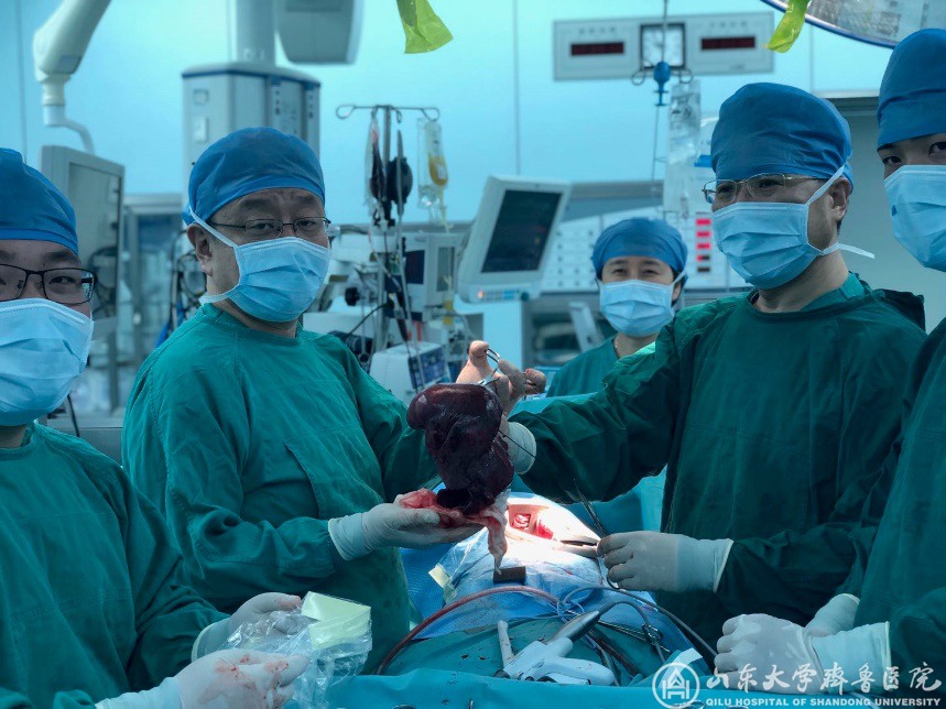 MDT与ECMO强强联手，绿帽社