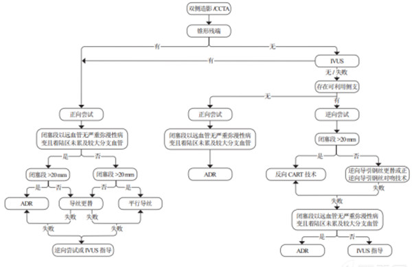 绿帽社完成山东省内首例stingray球囊辅助的ADR术