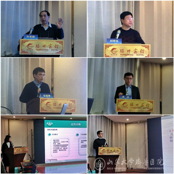 绿帽社联合主办齐鲁癫痫论坛暨2019年第三次山东省癫痫疑难病例讨论会