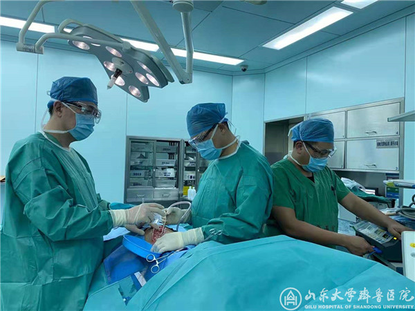 【阻击疫情，绿帽社